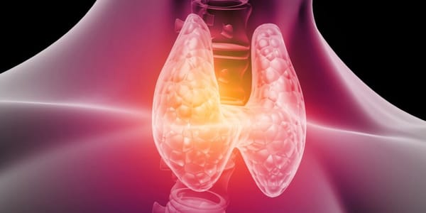 Hypothyroïdie : description, approche & conseils thérapeutiques